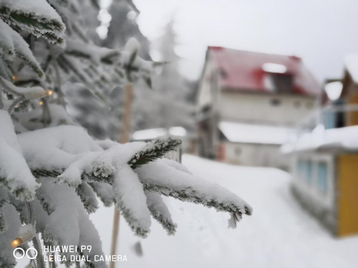 Guest House-Straja Lupeni Lupeni  エクステリア 写真