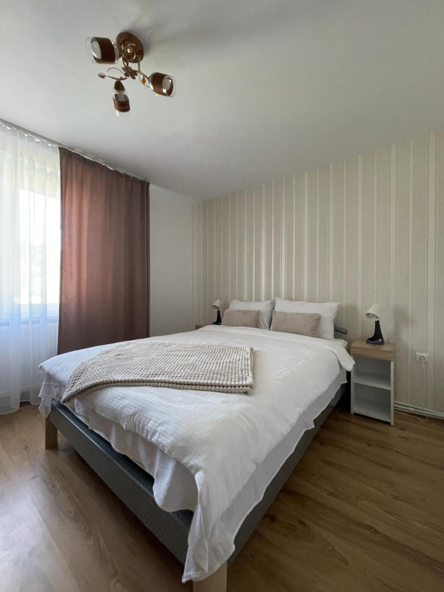 Guest House-Straja Lupeni Lupeni  エクステリア 写真