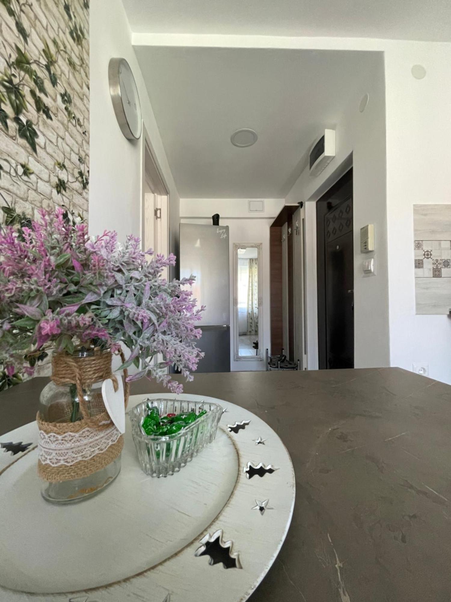 Guest House-Straja Lupeni Lupeni  エクステリア 写真